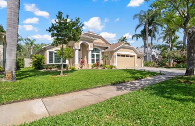 9905 Woodbay Dr - 9905 Woodbay Drive, Westchase, FL 33626