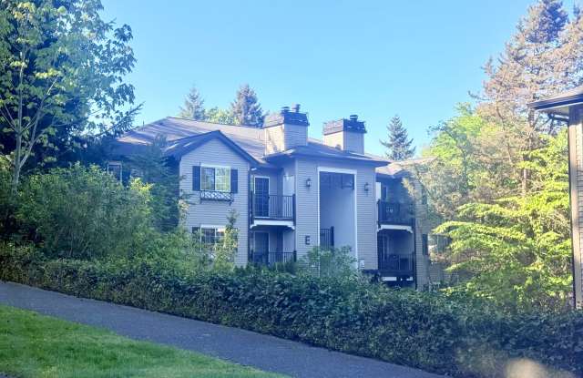 Gallery Condominiums - Downtown Kirkland photos photos
