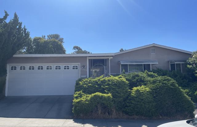 4925 Tierra Baja Way photos photos