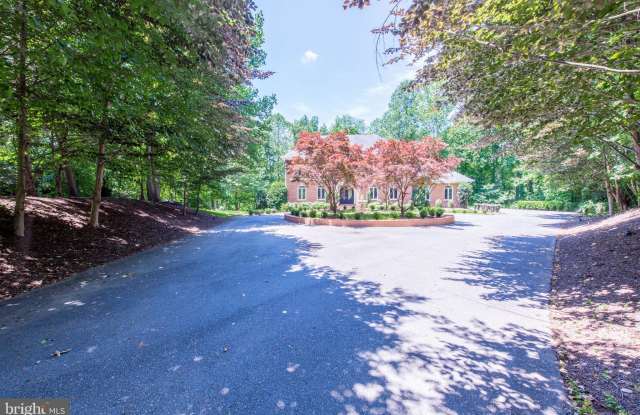 9121 MILL POND VALLEY DRIVE Gallery 2