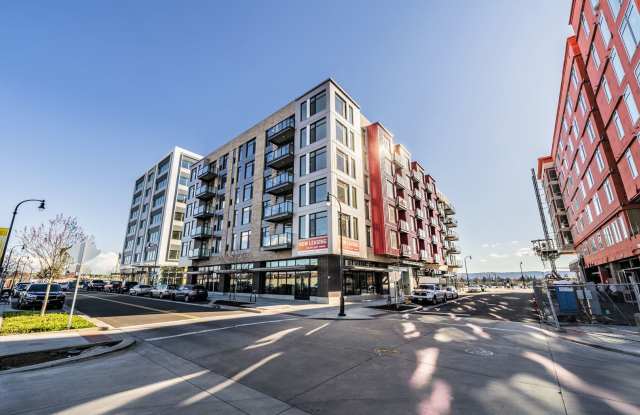 Rediviva photos photos