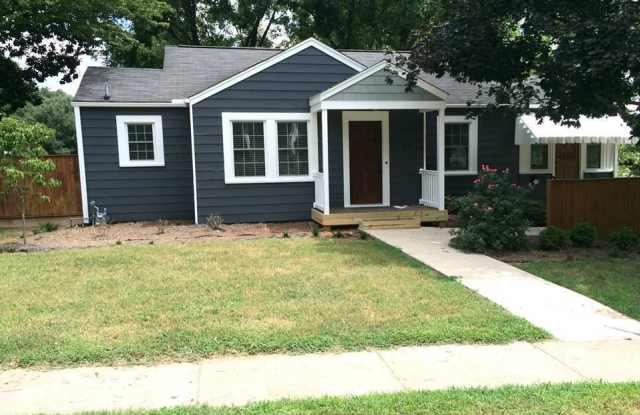 319 South Street - 319 South Street, Davidson, NC 28036