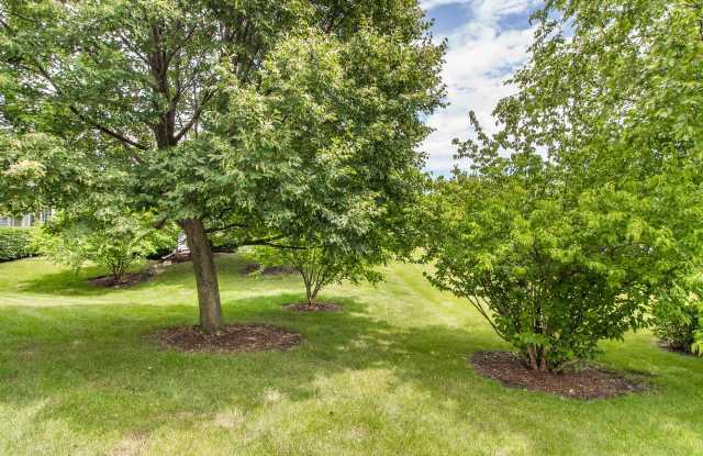 3023 Anton Dr photos photos