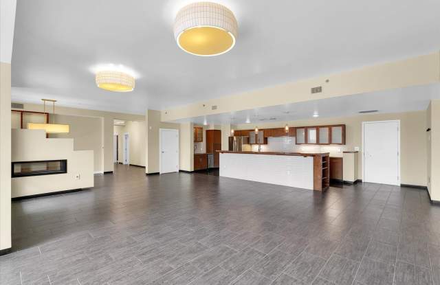 LARGE CUSTOM CONDO IN DOWNTOWN CHAMPAIGN photos photos