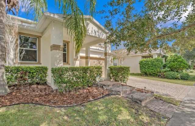 11843 Verrazano Dr - 11843 Verrazano Drive, Horizon West, FL 32836