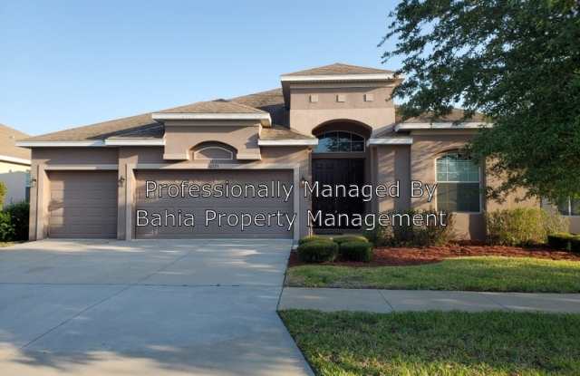 10225 Holland Rd - 10225 Holland Road, Riverview, FL 33578