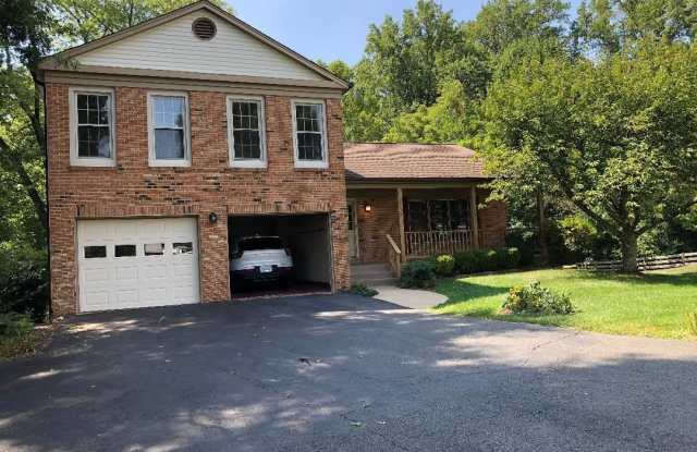 12779 FLAT MEADOW LANE - 12779 Flat Meadow Lane, Franklin Farm, VA 20171