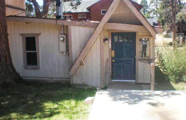 Cozy One Bedroom - 236 Kern Avenue, Big Bear City, CA 92386