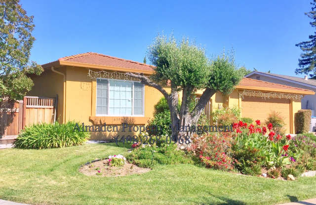 Remodeled Almaden Home near Foothills!! Great Schools, Central A/C  Pool!! photos photos