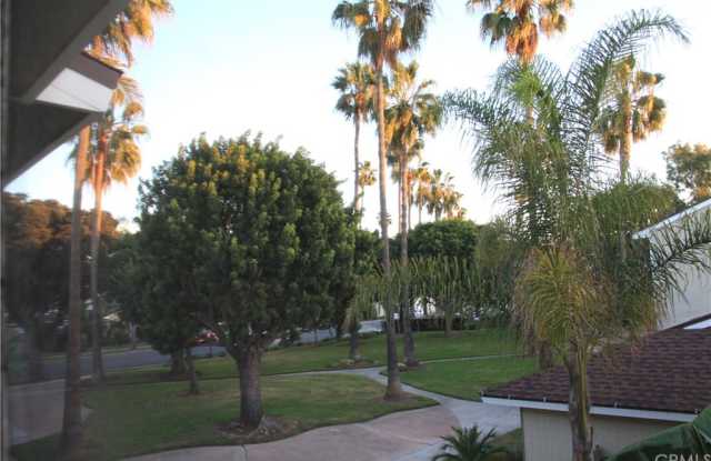 8126 Ridgefield Drive Gallery 3