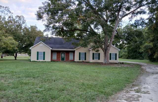 Charming 4BR House in Brooklet - 2816 Brooklet Leefield Road, Bulloch County, GA 30415