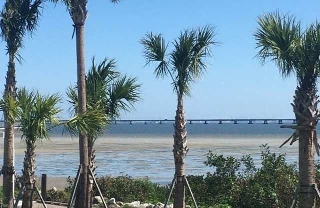19352 US Hwy 19 N 1 - 19352 US Route 19, Tarpon Springs, FL 34689