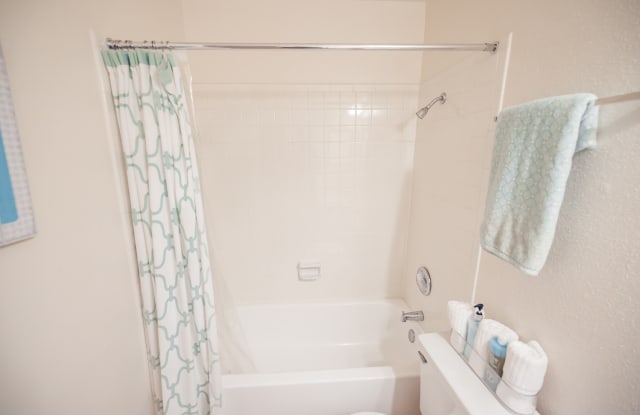 Bridge At Sterling Springs Apartments Gallery 4