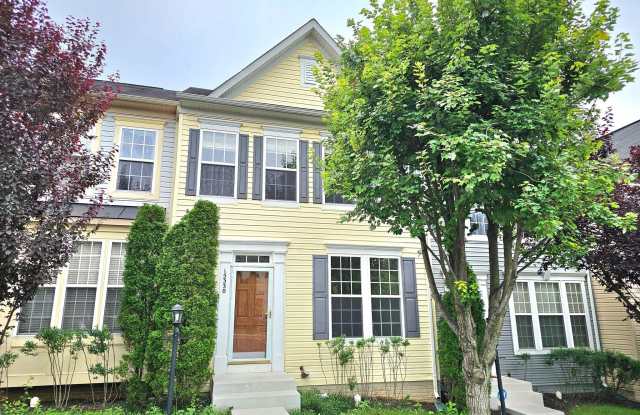 15330 ELIZABETH BURBAGE photos photos