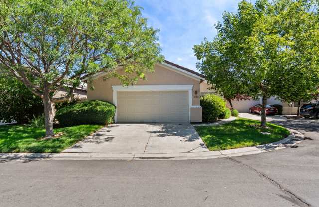 Damonte Ranch 3 bedroom charmer - 10404 Chadwell Drive, Reno, NV 89521