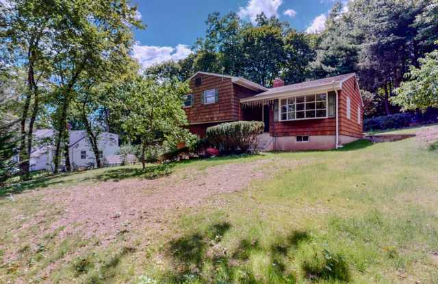 Spacious 3-Bedroom Split-Level with Fireplace  Patio photos photos