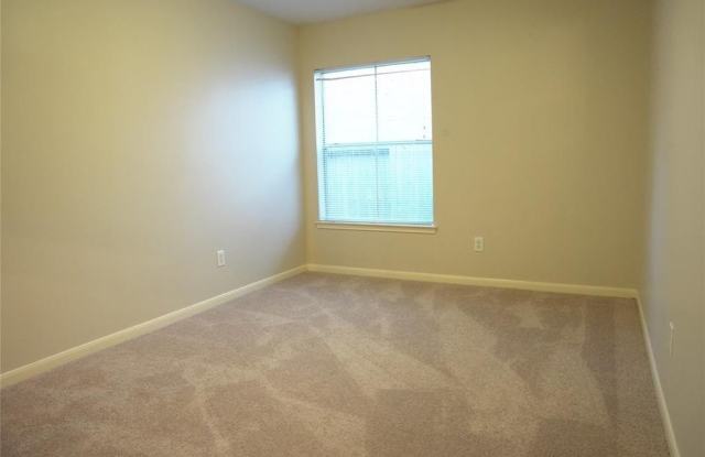 8003 Weeping Willow Pl, Missouri City, TX 77459 Gallery 3