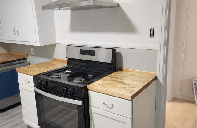 151 S Green St Unit 4 photos photos