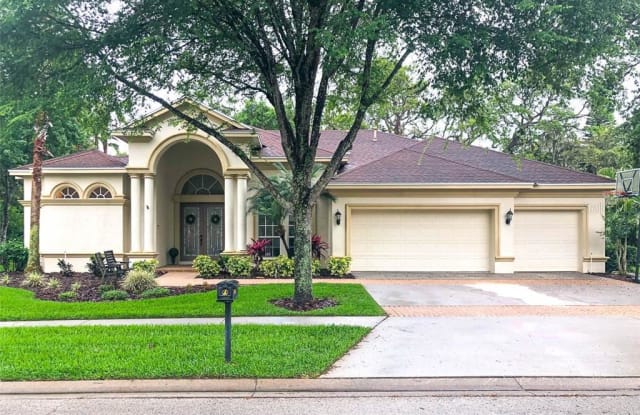 15011 EAGLEPARK PLACE - 15011 Ealgepark Place, Fish Hawk, FL 33547