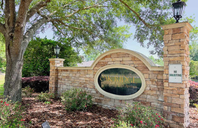 Gorgeous 5/3 New Construction in Oak Ridge at High Springs - 16372 Northwest 190th Street, High Springs, FL 32643