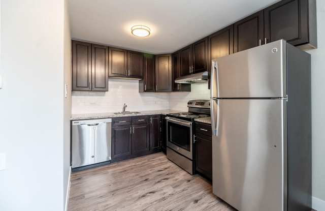 South Forest photos photos