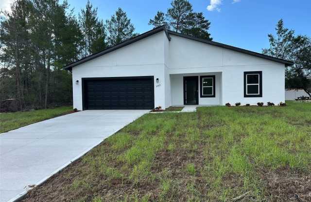 3063 SW 168TH LOOP - 3063 Southwest 168th Loop, Marion County, FL 34473