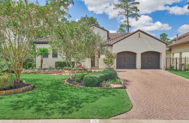 50 Wintress Drive - 50 Wintress Drive, The Woodlands, TX 77382