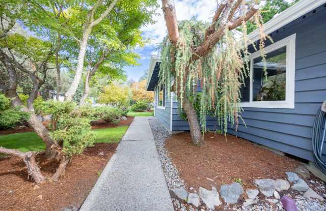 South Renton Rambler - Beautifully remodeled 3 bedroom 1.75 bathroom, fenced yard - Available NOW!! photos photos