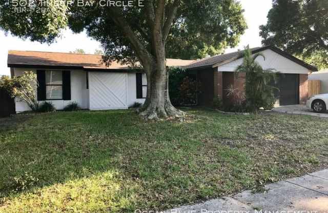 502 Timber Bay Circle E - 502 Timber Bay Cir E, Oldsmar, FL 34677