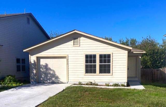 9919 Amber Breeze photos photos