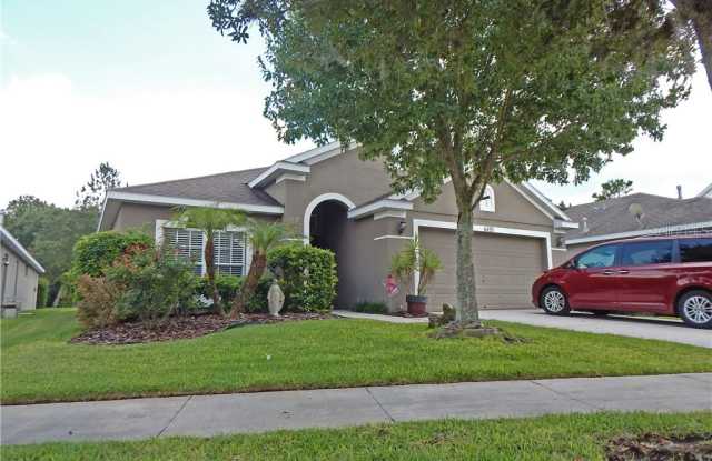 6433 BRIDGECREST DRIVE - 6433 Bridgecrest Drive, Fish Hawk, FL 33547