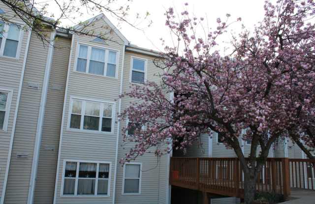 Charming 2 Bedroom/1 Bathroom Condo in Halethorpe, MD! photos photos
