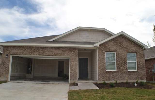 713 Juniper Street - 713 Juniper Street, Anna, TX 75409