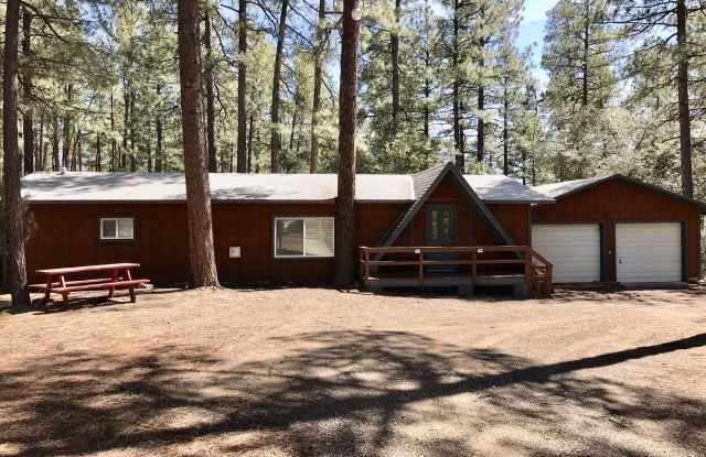 8871 W WILD TURKEY Lane photos photos