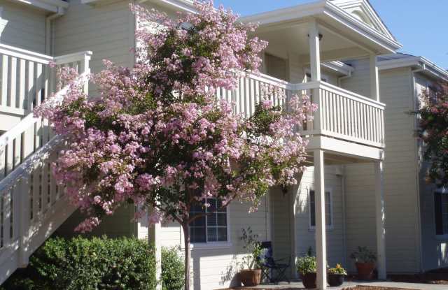 177 Tuscany Place Gallery 2