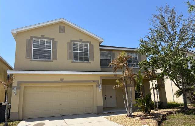 7514 DRAGON FLY LOOP photos photos