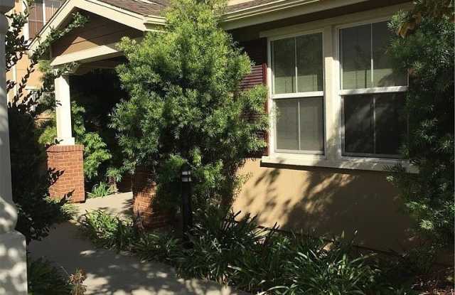 15528 Bonsai photos photos