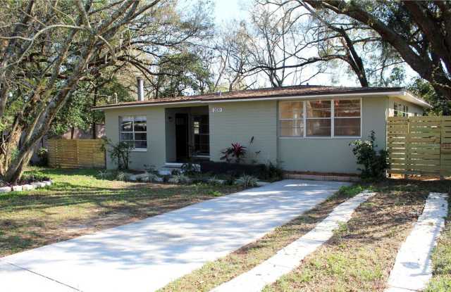 209 Redwood Ave - 209 Redwood Avenue, Temple Terrace, FL 33617