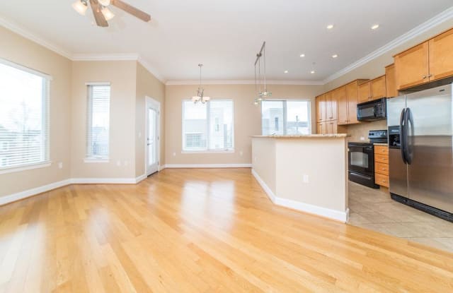 100 Willard Street - 100 Willard Street, Houston, TX 77006