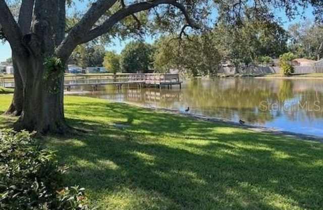 3823 N OAK DRIVE photos photos