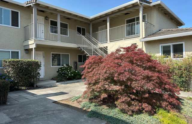 1239 Valerian Court photos photos