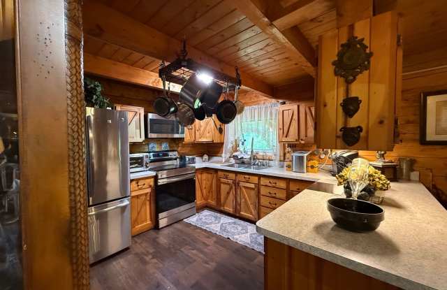 Charming 3-Bedroom Cabin, with Garage Surrounded by Nature Gallery 4