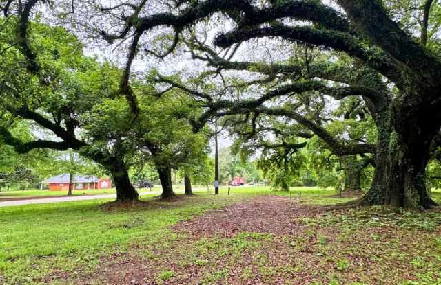 11780 Old Pascagoula Rd - Lot 3 Gallery 1