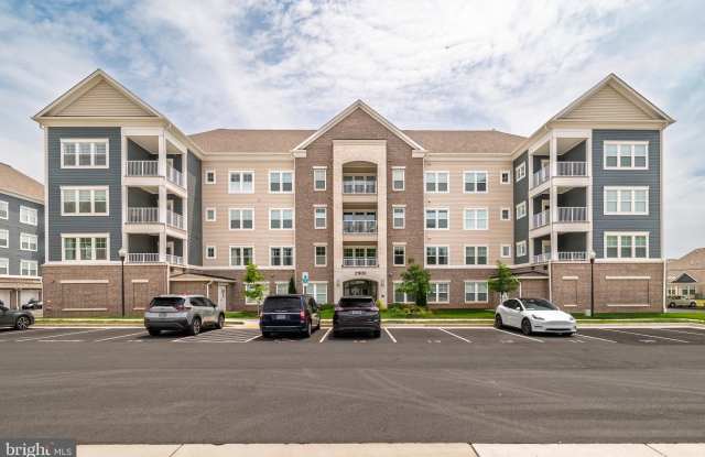 21630 HAWKSBILL HIGH Circle Gallery 3