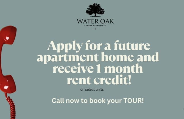 Water Oak photos photos