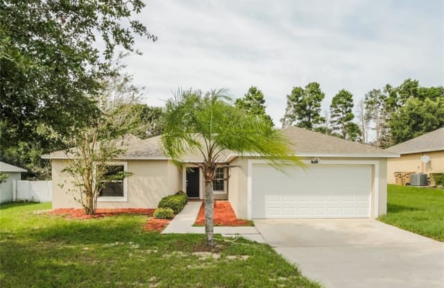 14922 WINDY MOUNT CIRCLE - 14922 Windy Mount Circle, Lake County, FL 34711