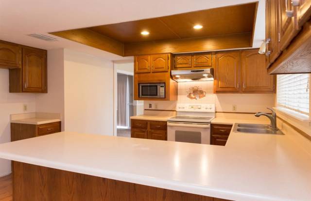 2906 Sycamore Springs Court Gallery 2