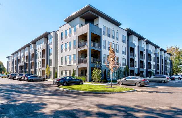 Echelon photos photos