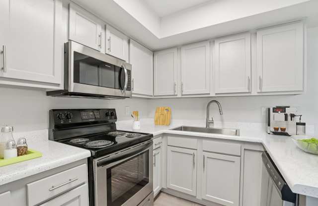 Morrison in Mesa photos photos