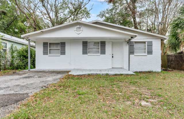 Charming 3 Bed/1 Bath Home with a HUGE Backyard! - 303 East Selma Avenue, Tampa, FL 33603